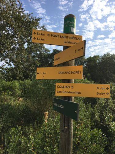 Proche Uzes Le Cocon Du Peintre Anglais Sanilhac-et-Sagries Exterior photo