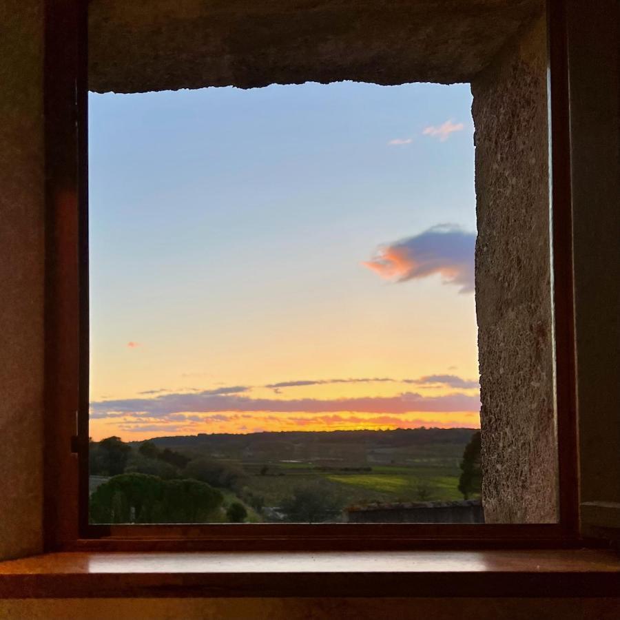 Proche Uzes Le Cocon Du Peintre Anglais Sanilhac-et-Sagries Exterior photo